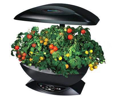 aerogarden-tomates-cerises-recolte