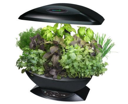 AEROGARDEN : UN JARDIN DANS LA CUISINE
