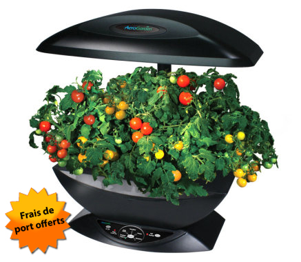 AEROGARDEN : UN JARDIN DANS LA CUISINE